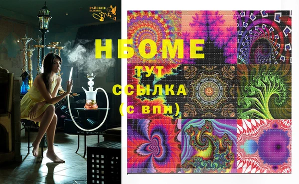 индика Алзамай