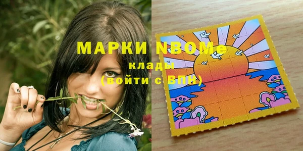 индика Алзамай