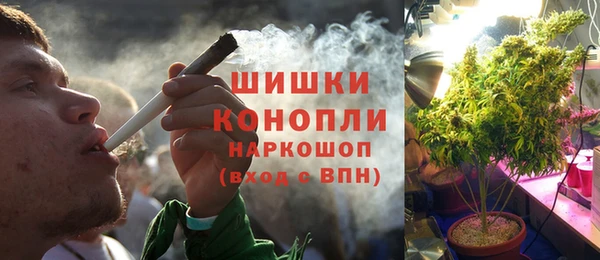 индика Алзамай