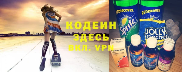индика Алзамай